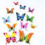 Zosima 24 - Piece Wall Sticker / Decal