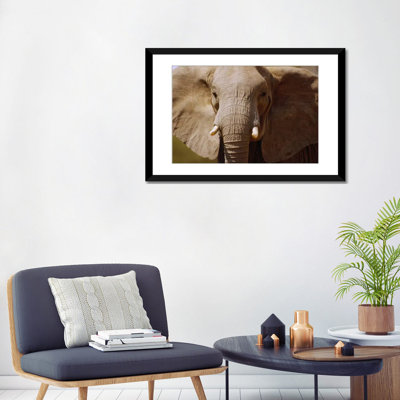 « africain éléphant close up amboseli national park kenya », reproduction de photo sur toile
