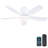 41" 5-blade Flush Mount Indoor Ceiling Fan With Light And Remote/app Control-710461773