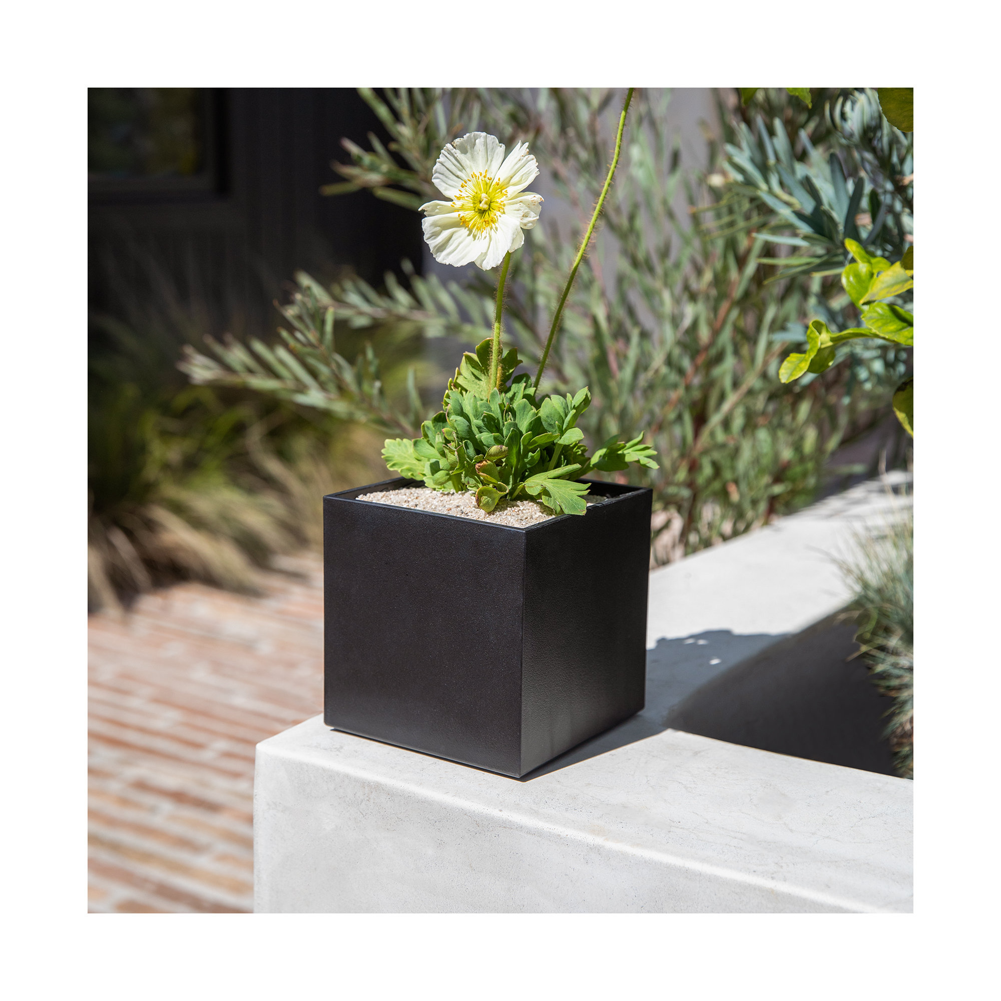 Geo Series Cube Planter, Black, 1