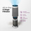 Purificateur d'air au carbone HEPA Winix T810