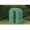 Premium 24' W x 19' D  Starting Plant