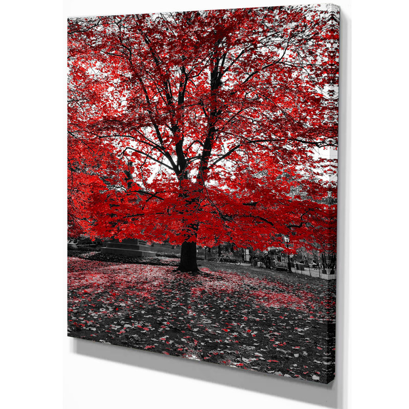 «Red Tree in Central Park», reproduction de photo sur toile tendue, H 20 po x l 12 po x P 1po