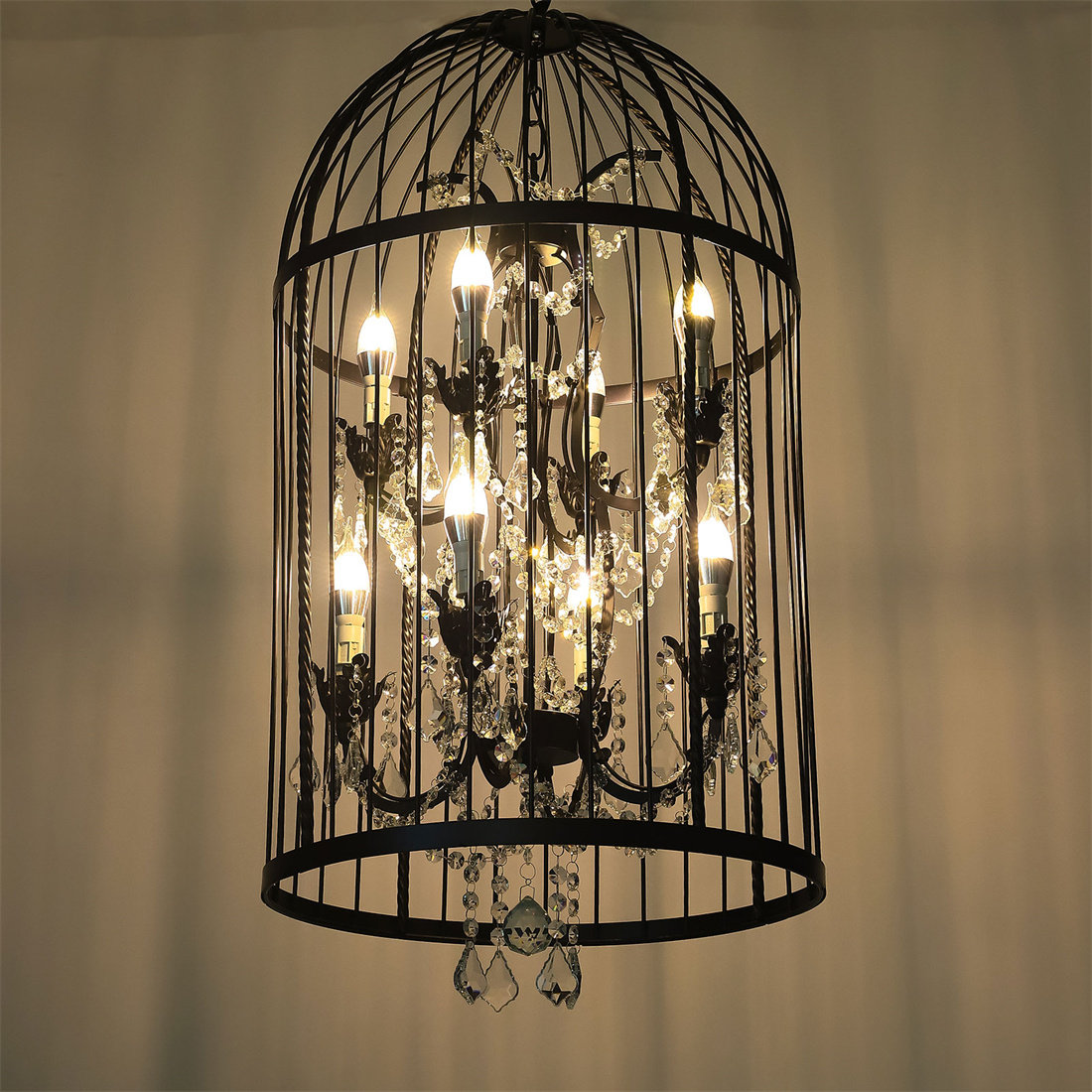 Birdcage deals crystal chandelier