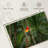 Brampt Wild Scarlet Macaw-107860988