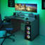 Wendelina Computer Desk