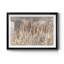 Summer Tails - Photographie avec cadre photo-123629048-123719389