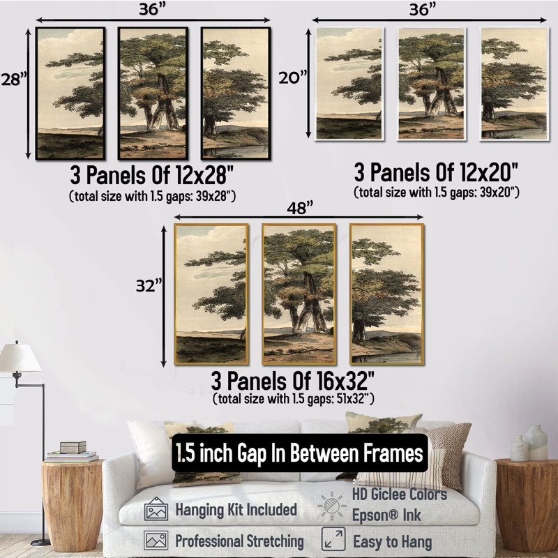 «Vintage Trees of Old Trees I», ensemble d'art mural sur toile encadré traditionnel de 3, H 28 po x l 36 po x P 1 po