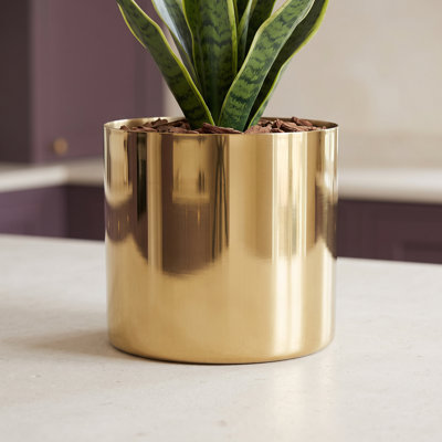 Indoor Cachepot