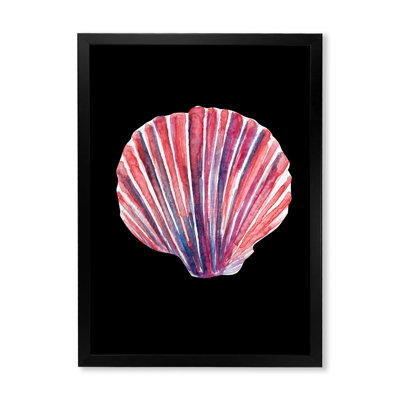 Coquillage sur fond noir - peinture