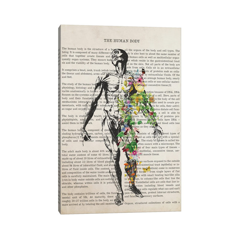 Reproduction d'anatomie du corps humain - impression sur toile tendue, H 12 po x l 8 po x P 0,75 po