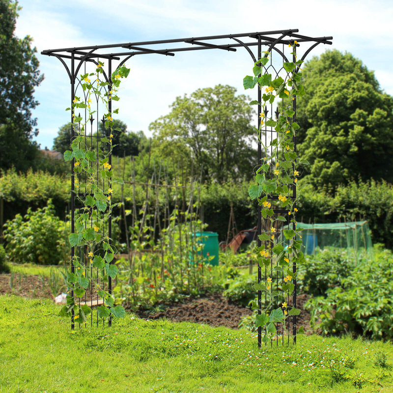81'' W x 20.5'' D Metal Arbor with Gate in Black