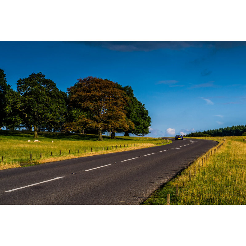 Route campagne de Latsalomao, H 8 po x l 12 po