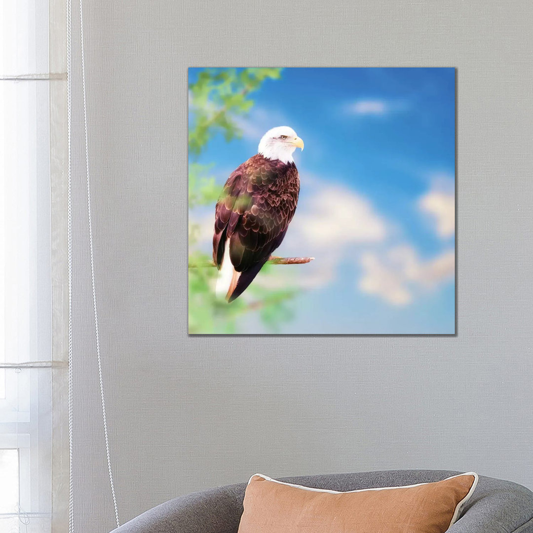 Amerikanischer Weißkopfseeadler auf einem Baum von Susan Richey - Galerie-verpackte Leinwand Giclée