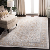 Aaydn Performance Oriental Rug