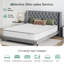 Novilla 27cm Cooling Memory Foam Pocket Sprung Mattress-94341991