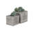 Matsuda Wood Planter Box