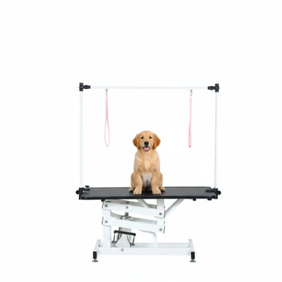 43 Inch Adjustable Heavy Type Hydraulic Pet Dog Grooming Table Upgraded Professional Drying Table Heavy Duty Frame With Adjustable Arm And Noose
