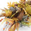 Arrangement floral de baies en pot