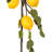 60'' in. Faux Lemon Garland