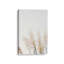 Impression sur toile Pampas Whisper-1587452707-1587452709
