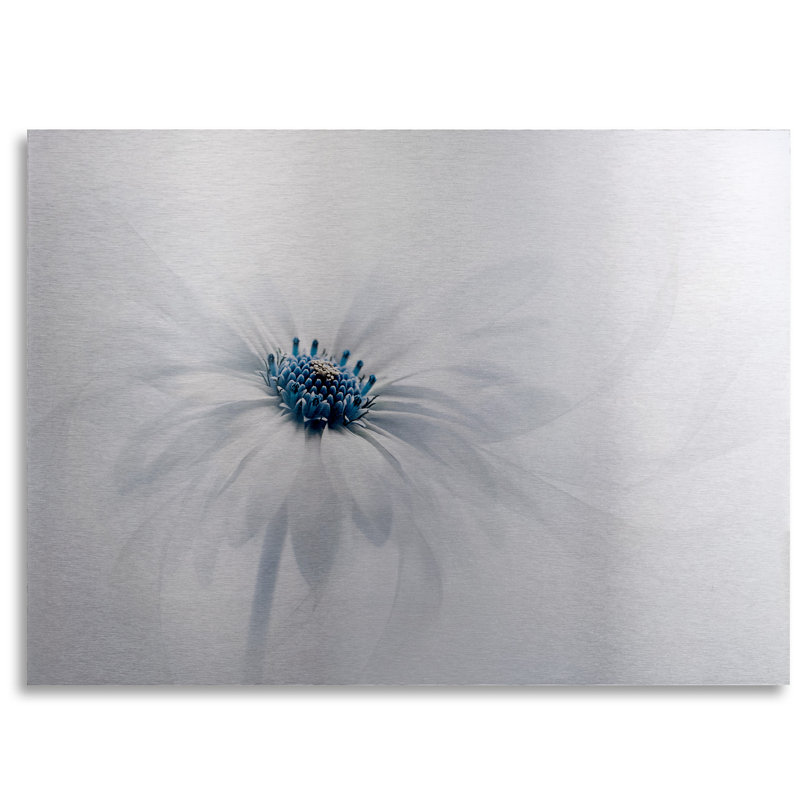 « Serenity » par Jacky Parker - art graphique, H 16 po l 22 po, Impression sans cadre, Sans cadre