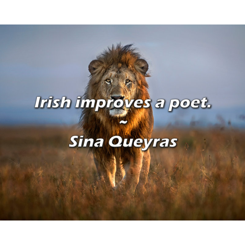 Citation artistique «Irish améliore un poète». Toile tendue par Sina Queyras, H 17 po x l 24 po