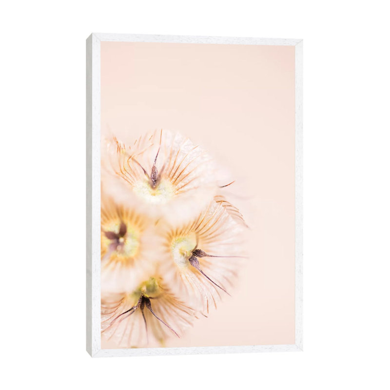Bleach Blonde III by Renée Stramel - Gallery-Wrapped Canvas Giclée on Canvas, 101.6 cm H x 66.04 cm W, White Framed