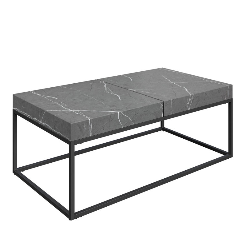 Cankut Frame Coffee Table