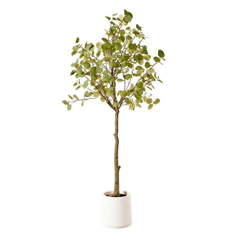 Realistic Artificial Eucalyptus Tree Faux Plant for Home Decor, Indoor Living Room or Office - 60"