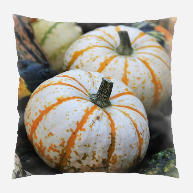  Coussin intérieur / extérieur Thanksgiving