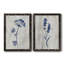 «Indigo Botanical I», ensemble de 2 reproductions d'impressions-291994794-291994804-354319582