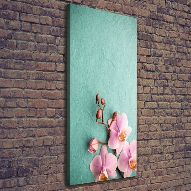 Pink Orchid - Wrapped Canvas Print