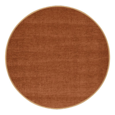 Machine Washable Solid Brown Area Rug