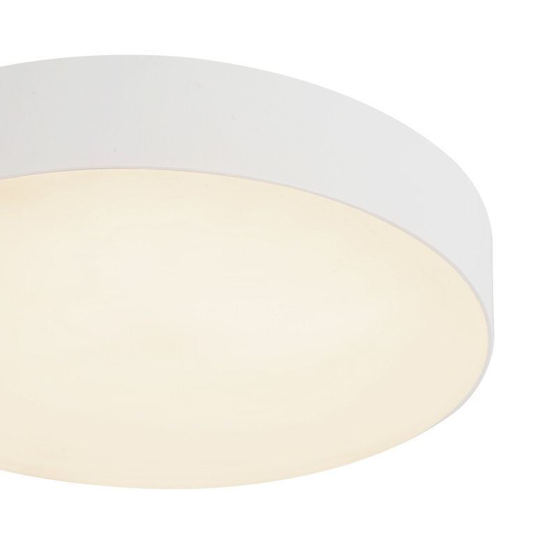 Rynn 5-in Black dimmable LED Flush Mount, White