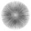 Silver Sunburst I, impression sur toile tendue-19749555-74736644-74736645