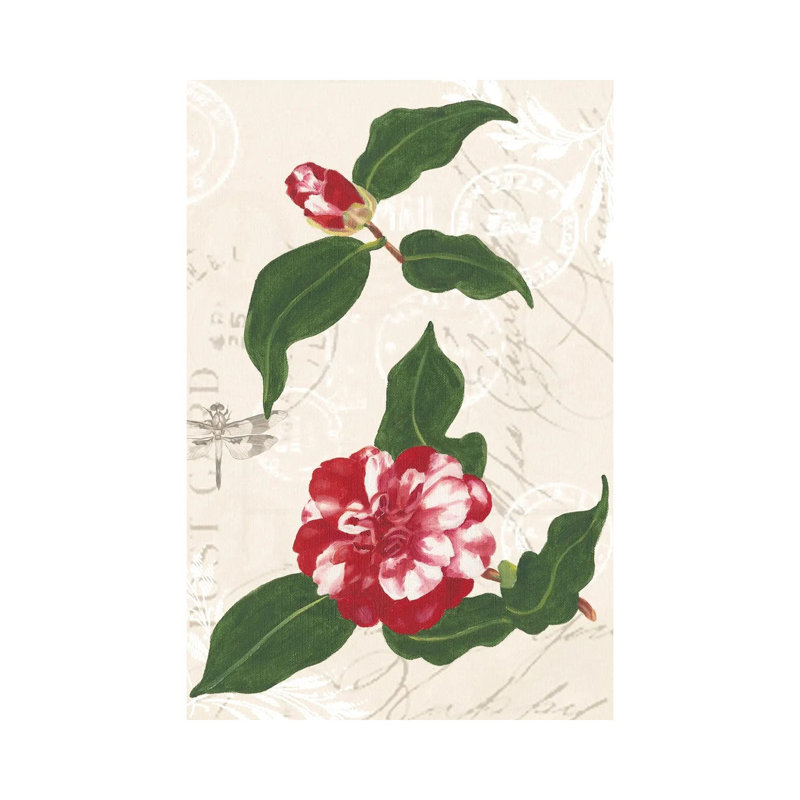 Dianne's Camelias I by Dianne Miller - Gallery-Wrapped Canvas Giclée on Canvas, Canvas, 20.32 cm H x 30.48 cm W