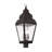Arelene Lantern Head-76790906