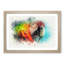 Rainbow Macaw Parrot in Abstract - Picture Frame Graphic Art Print-55765168-55765165
