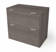 Azpurua 30.1'' Wide 2 -Drawer File Cabinet