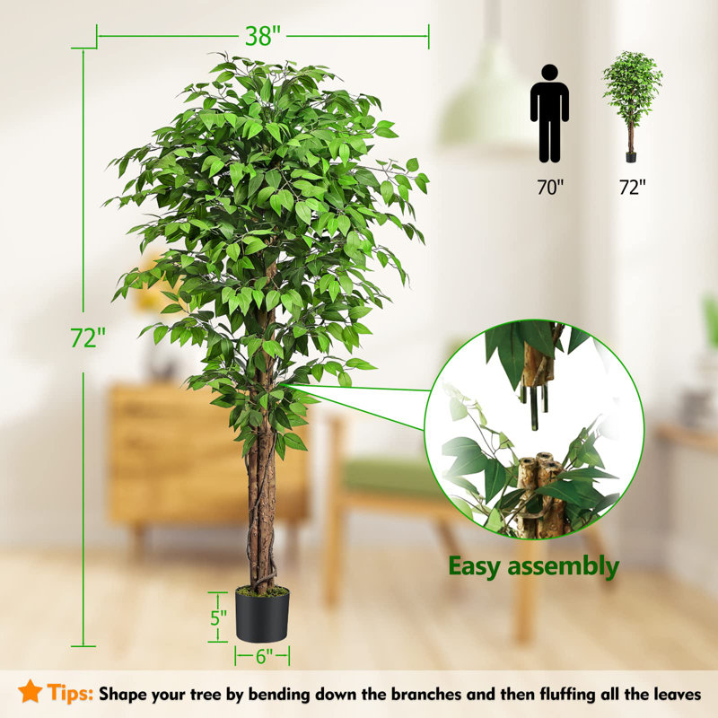 180cm Plant