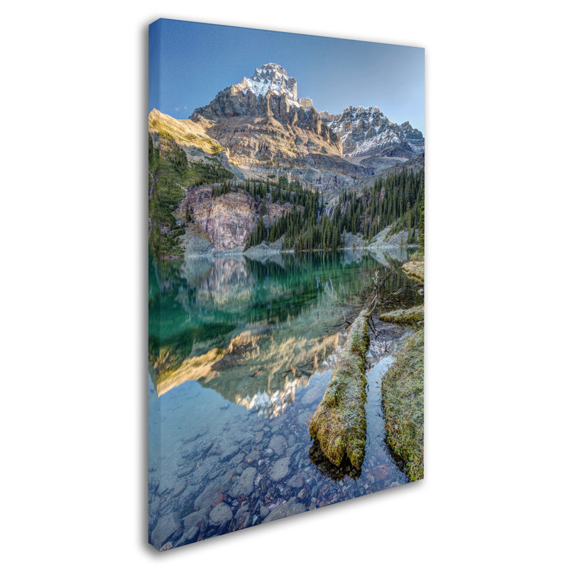Lake O'Hara Scenic Shoreline Framed Canvas Art