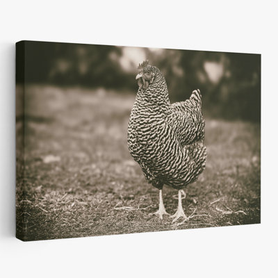 Farmhouse / Country Stand Tall