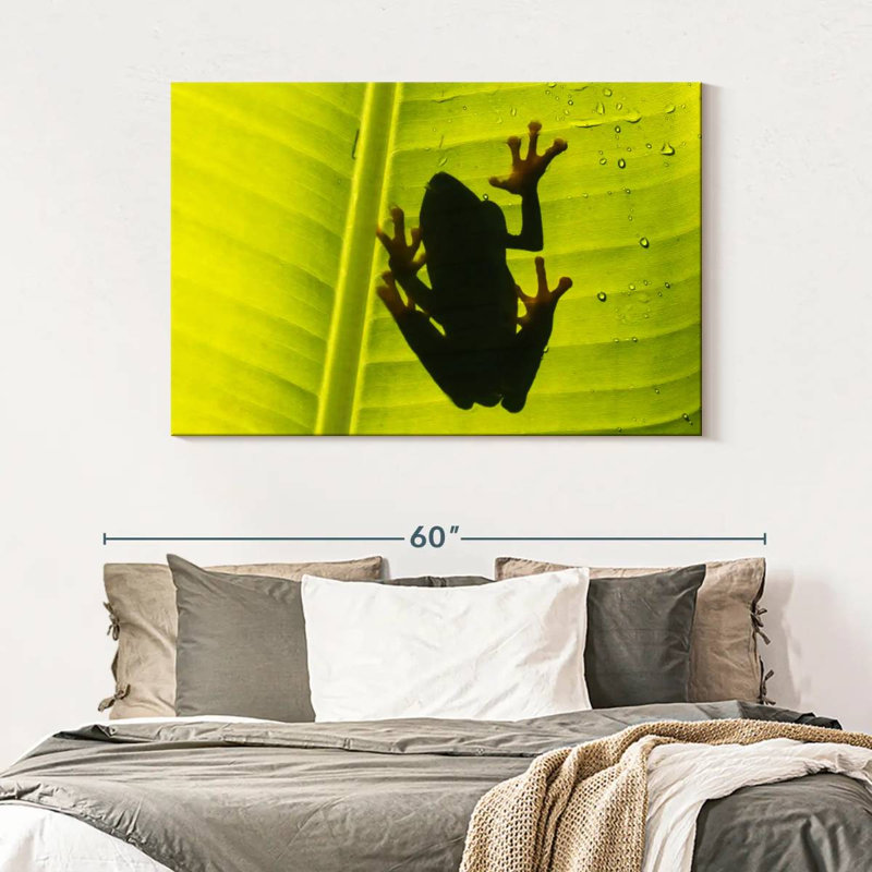 Frog On Leaf, 32" H x 48" W