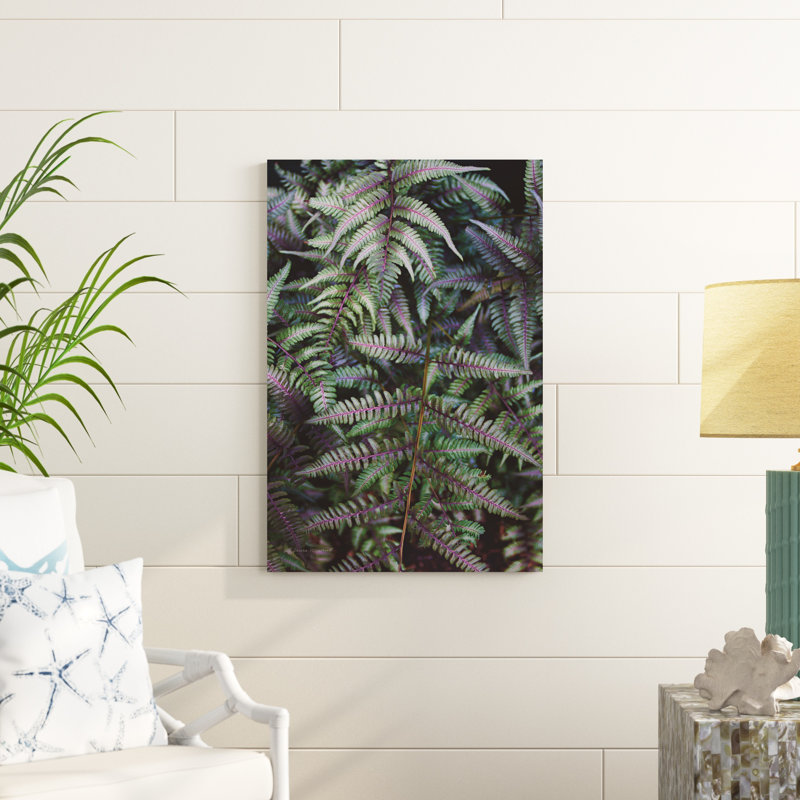Funky Ferns I, H 36 po x l 24 po