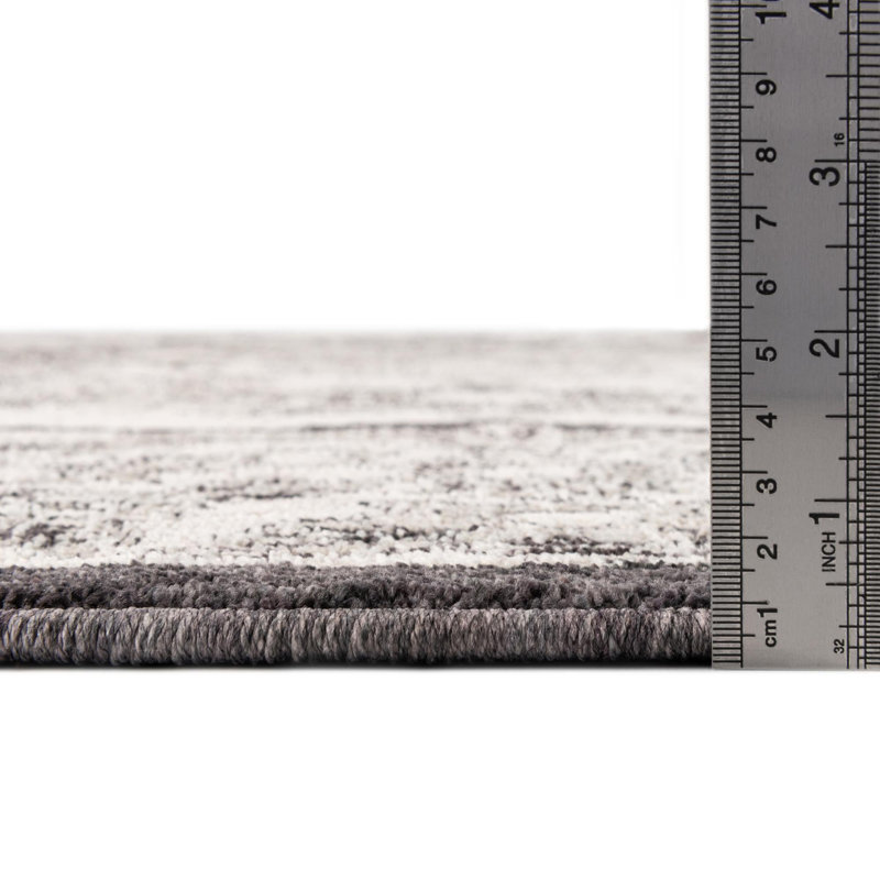 Policarpio Oriental Indoor Rug, Runner 2'7" x 12'