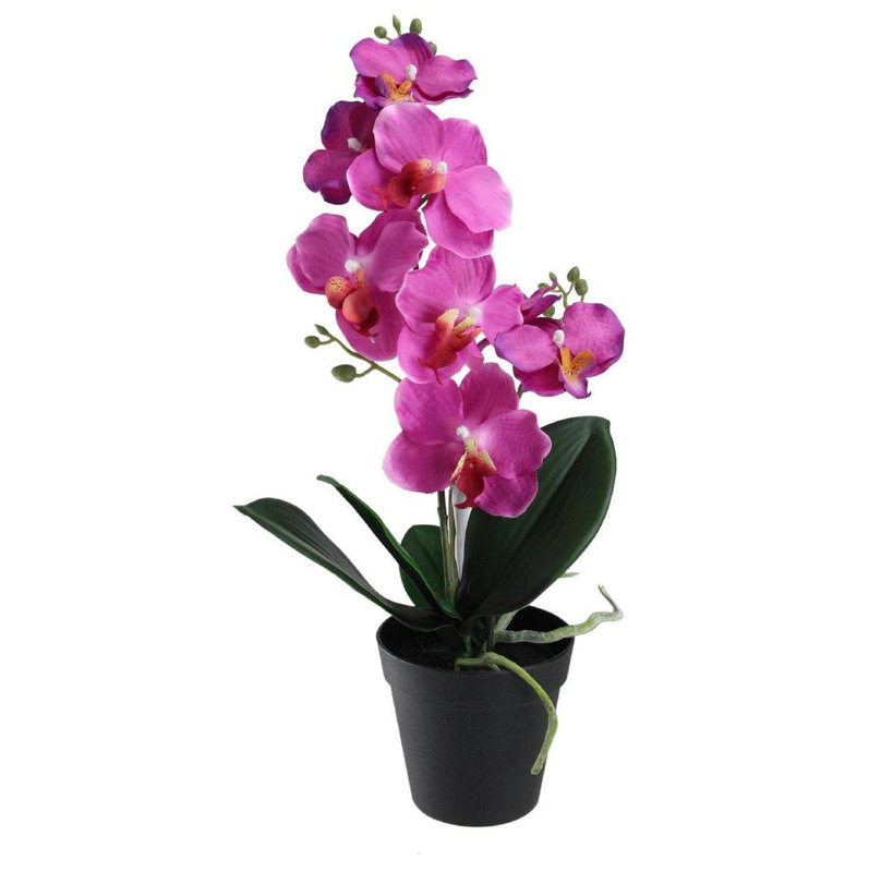 Silk Orchids Arrangement