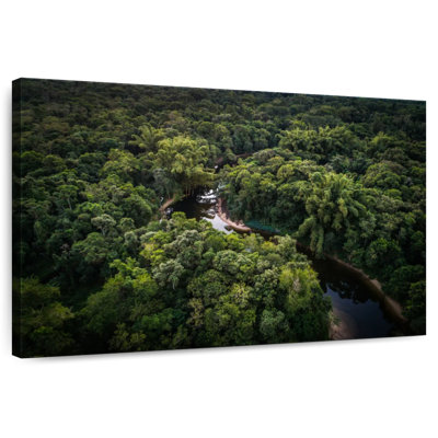 Atlantic Forest River