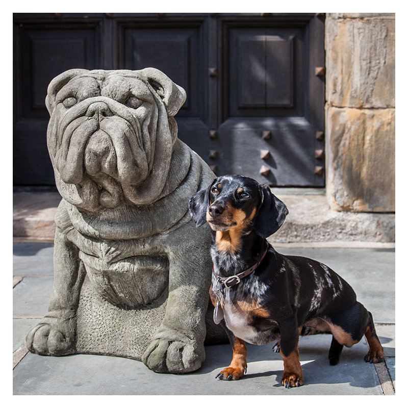 Antique Bulldog Statue, Aged Limestone