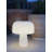 The Boleti Lamp